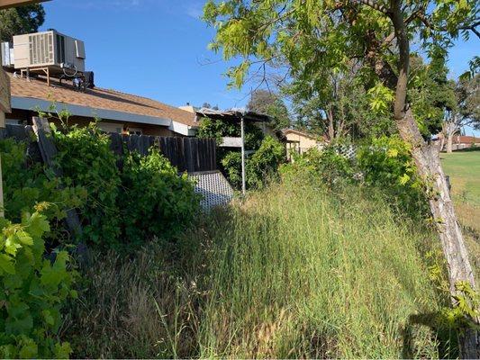 Jr. & Sr. Landscaping