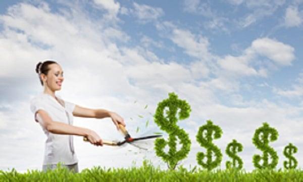 Commerce Business Advisors