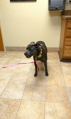 Bahama Road Veterinary Hospital