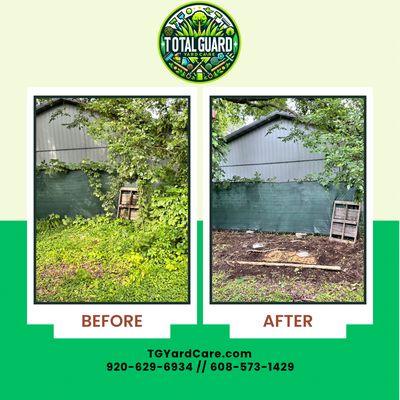 Before and after of a backyard overgrowth cleanup. We removed dense vegetation, cleared debris, and left the space clean and ready for use.