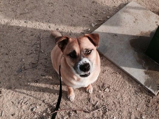 Ultimate Destination Trail