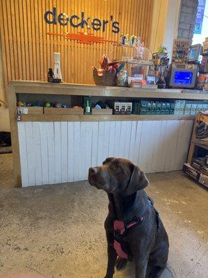 Decker's Dog and Cat