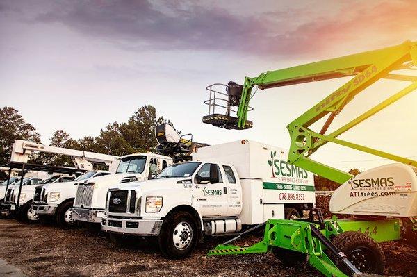 Sesmas Tree Service LLC
