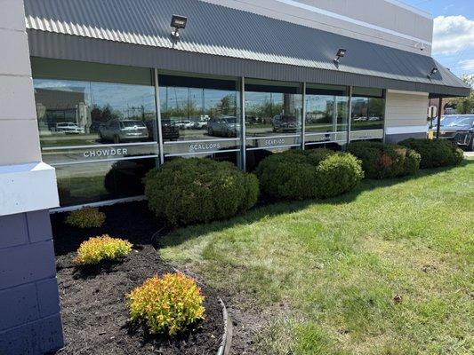 Bush planting and mulch installation