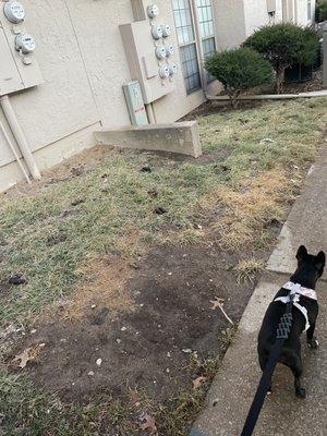 Coves North Apartments