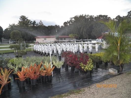 Three Seasons Outdoor Living & Landscapes
