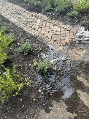 Florida's Best Bobcat Services