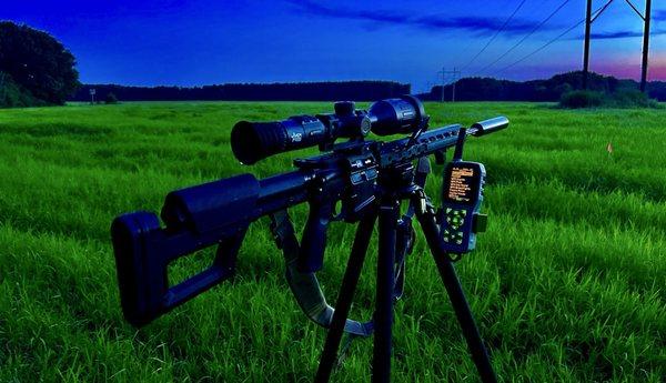 Elite Firearms
