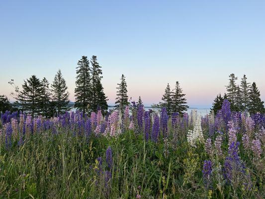 The Lookout Inn & Restaurant
