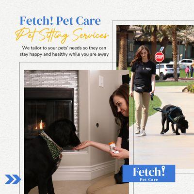 Fetch Pet Care