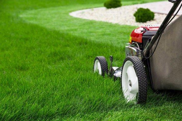 RXG Lawncare Services