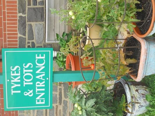 Tykes and Tots Day Care