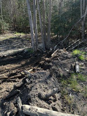 D & E Land Management
