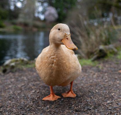 Fjällräven Portland