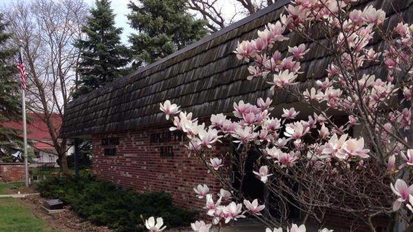 Elsie Public Library