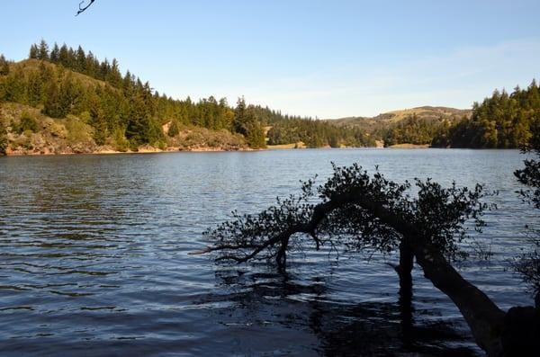 Barry Crotty - Coldwell Banker Residential Brokerage