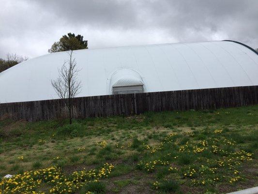 Wayland Community Pool Inc