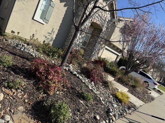 The Ballona’s Landscaping