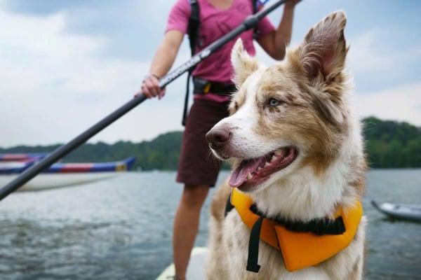 Two Seven Zero Stand Up Paddle Sports