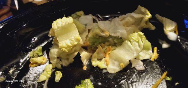 Bitter lettuce Core