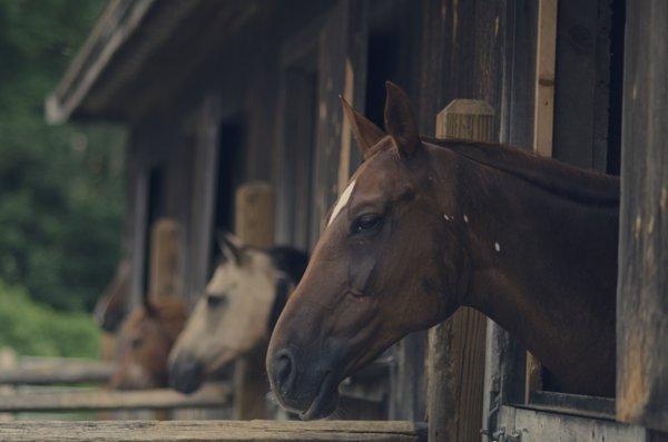 Winthrop Farm