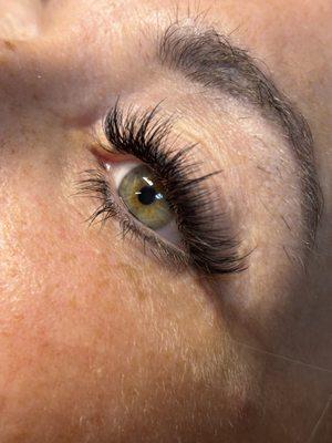 Lash Envy and Skin Solutions
