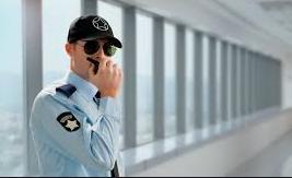 Gould Security Services
