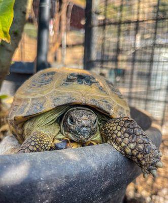 Love Always Sanctuary