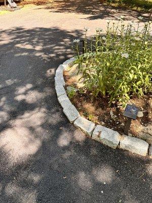 Asphalt Paving By GW