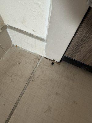 Home2 Suites by Hilton Hinesville