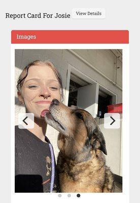 The Pet Spot Veterinary Hospital