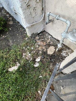 They fixed by my window and left the trash.