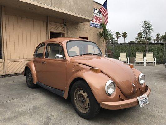 Earl Scheib Paint & Body