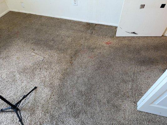 Five Star Property Management