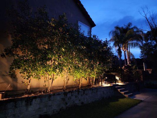 Exotic Landscaping Pros