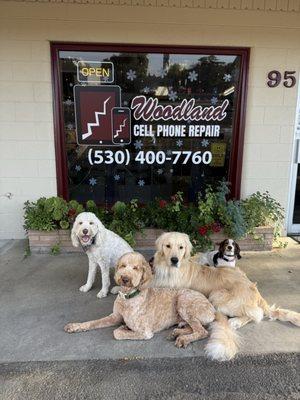 Woodland Cell Phone Repair