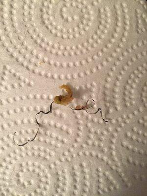 Found this medal spiral in my chicken lo mein... soo disgusting.... they only offered to credit me the next time ordered...NEVER again