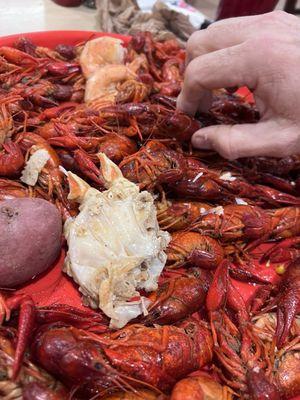 Crawfish potatoe