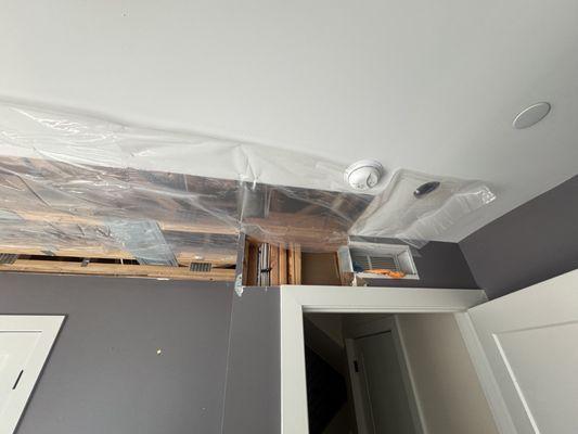 Guest bedroom ceiling damage