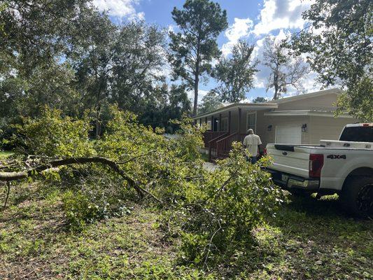 Woodswork Maintenance