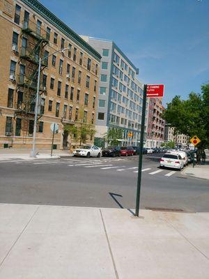 Wipeout Pest Control Services