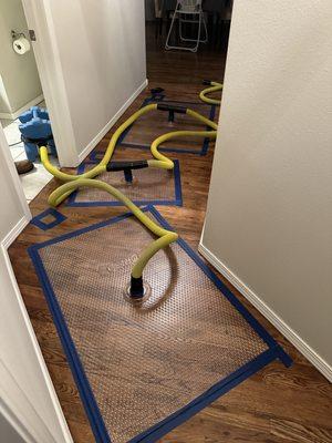 Mat drying system hard at work.