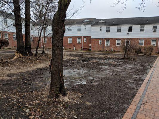 Haddon Hills really nailed the WW2 no man's land aesthetic once new management took over.