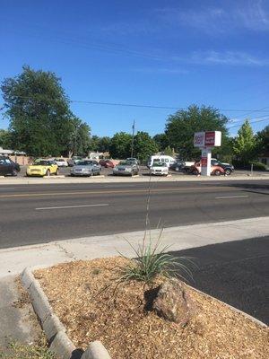 IYR car lot on a hot July day
