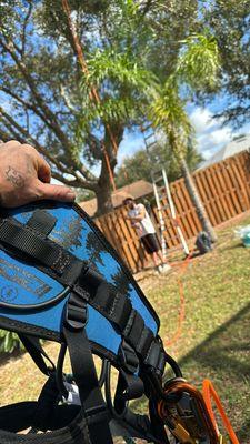 Big O’s Tree Service