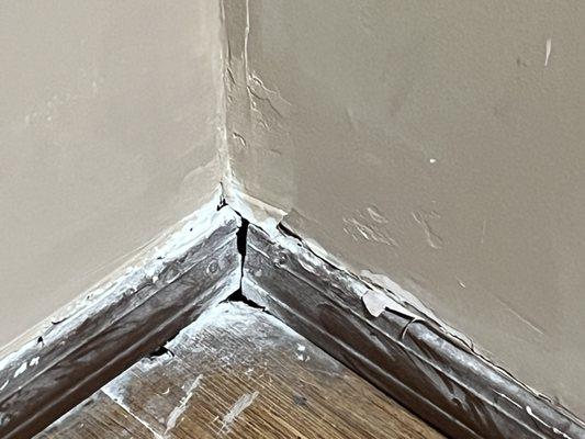 Holes, holes roaches come thru