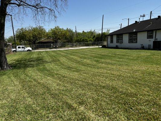 New Green Landscaping