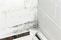 Certified Mold Inspections