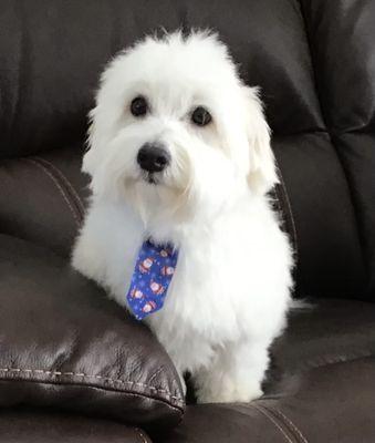 Scavello Sisters Pet Supplies and Grooming With Linda