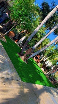 Undefeated Landscaping & Tree Service